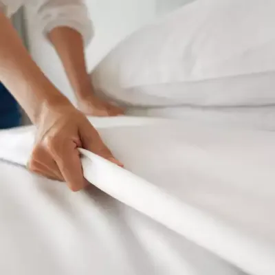 Bed Bug Making Bed