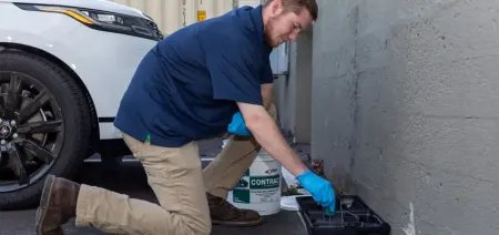 technician checking bait