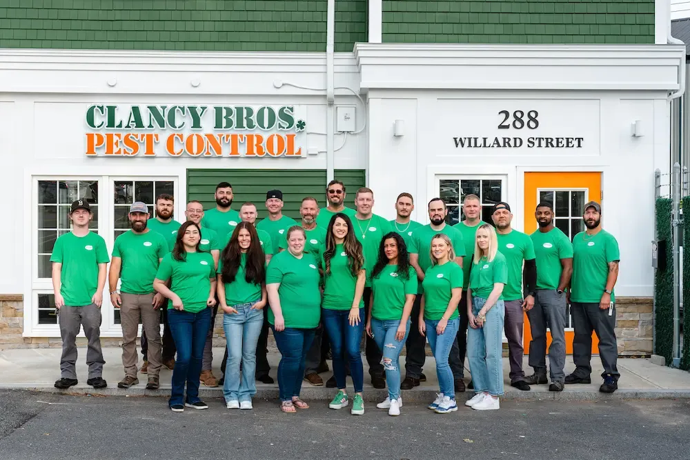 clancy bros about us 