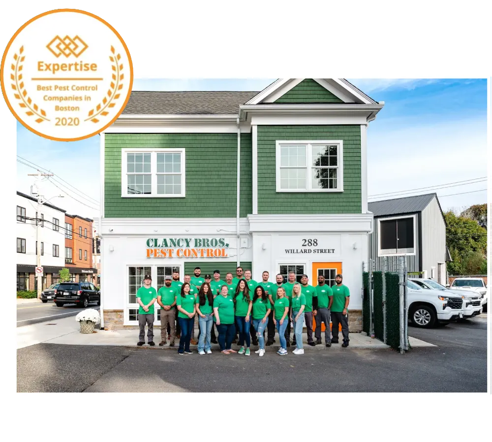 clancy bro expertise 2020