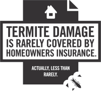 termite damage is rarely covered by insurance