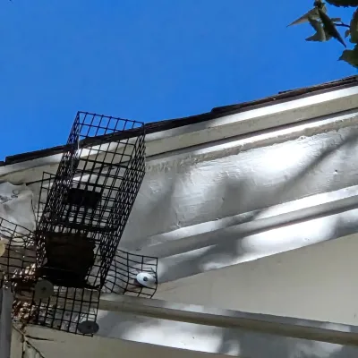 wildlife trapping after